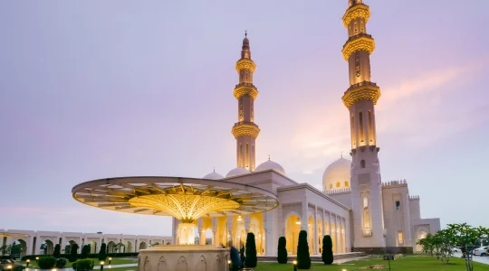 【帰国日プラン】マレーシアのタージ・マハルとも称される「白のモスク」と空港送迎